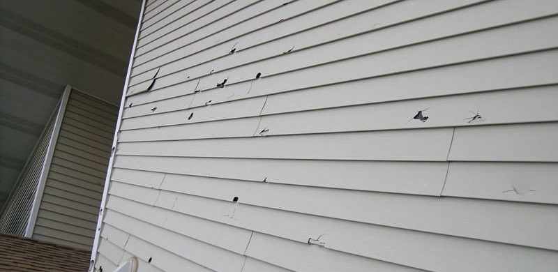 Damaged Siding